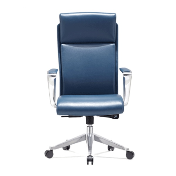 Goldseat medical chair, model Tino E220