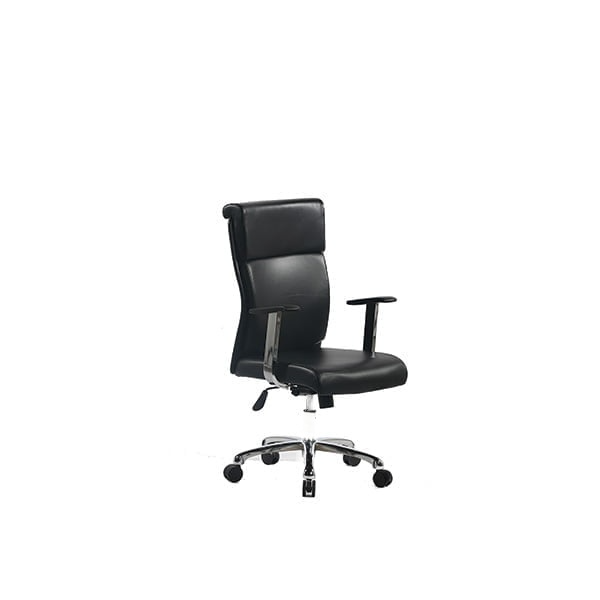 Goldseat medical chair, model Tino E220 - Image 2