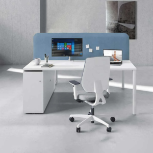 Laviz Workstation Desk